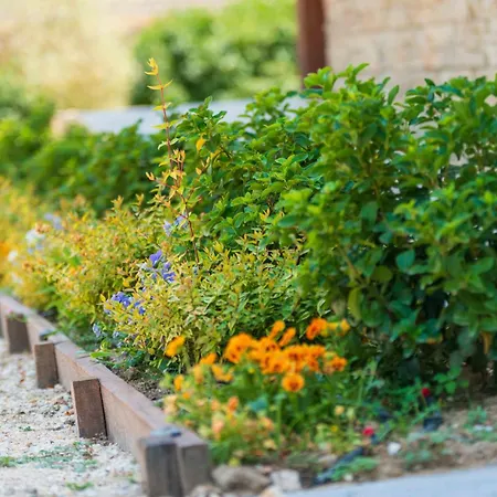 Szálloda Avellaneda