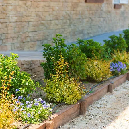 Avellaneda Navahonda