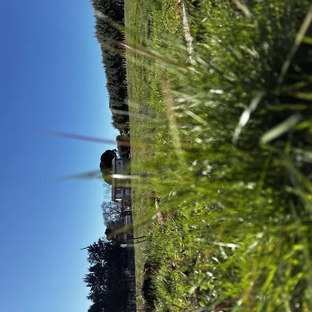 Avellaneda